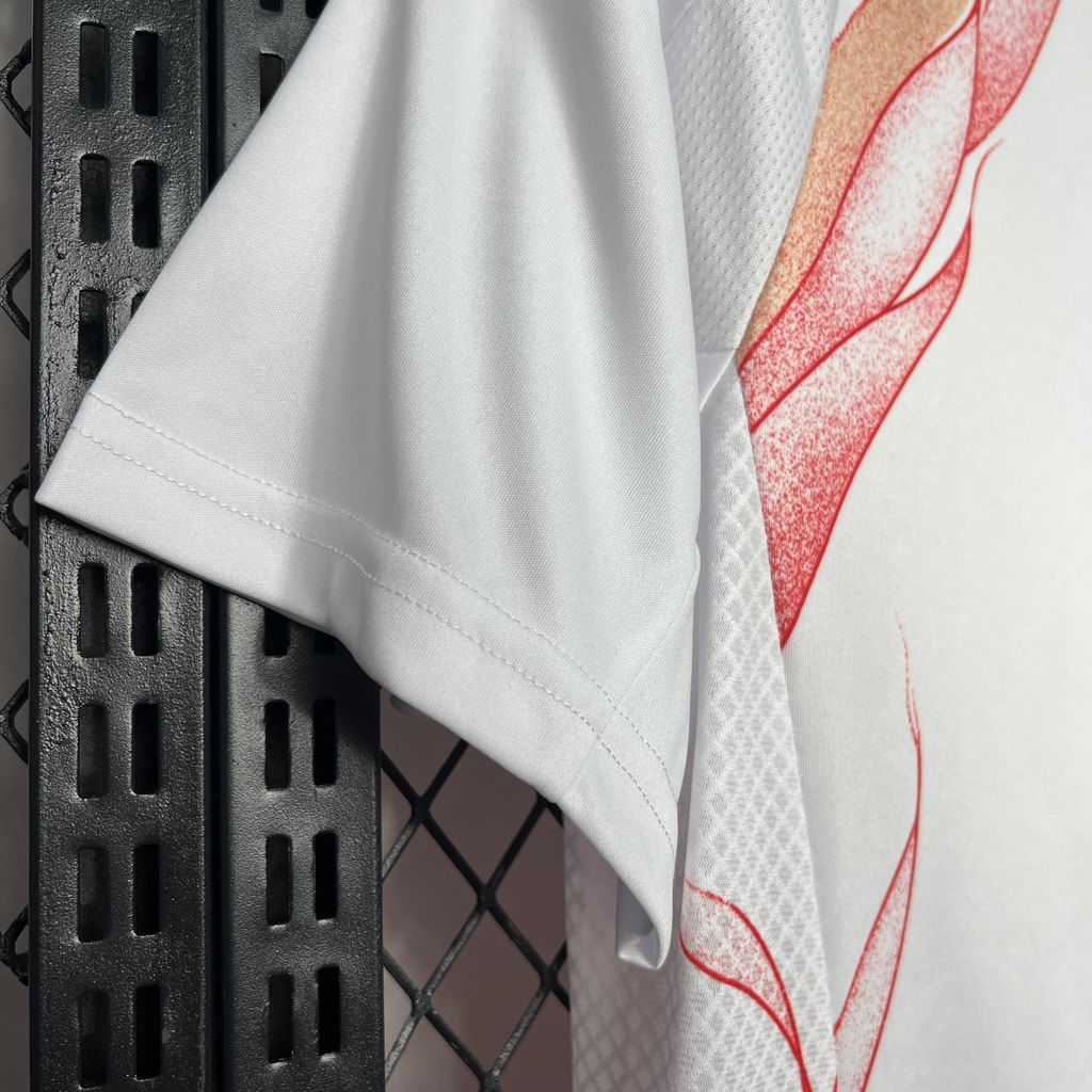 Japan 2024/25 Away Jersey