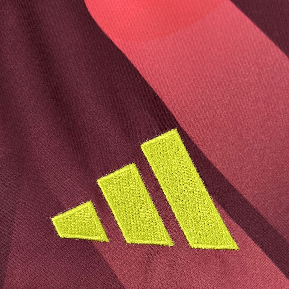 Germany 2025/26  Euro Away Jersey