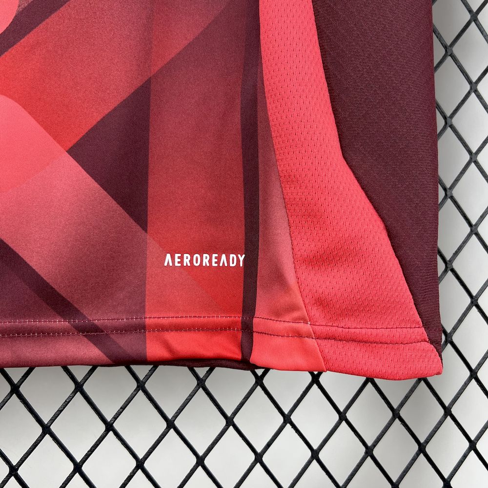 Germany 2025/26  Euro Away Jersey