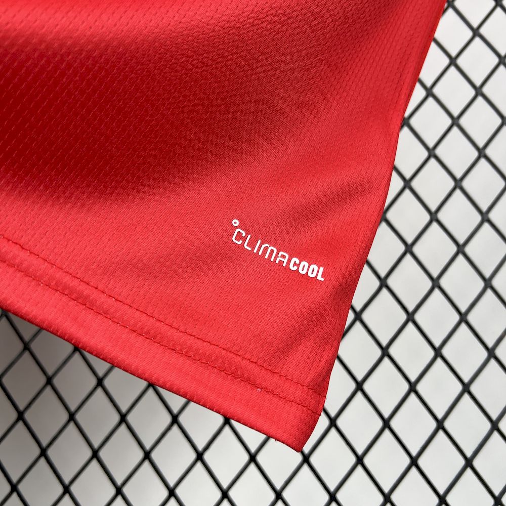 Wales 2026 World Cup Home Jersey