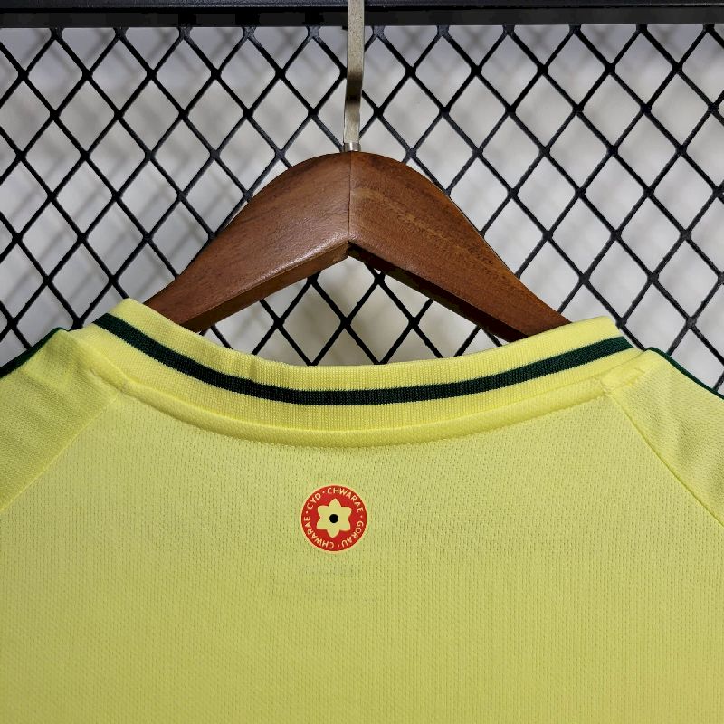 Wales 2024/25 Euro Home Jersey
