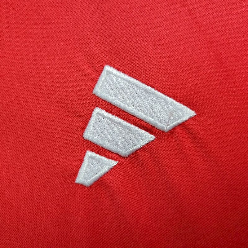 Wales 2024/25 Euro Away Jersey