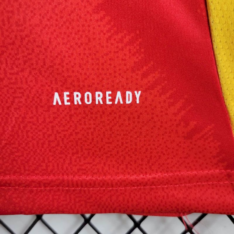 Spain 2024/25 Euro Home Jersey